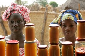 Mujeres senegalesas ocupadas en el sector agroalimentario (Foto Naciones Unidas)